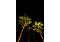 Alquiler a corto plazo - Villas - Las Colinas Golf - Las Colinas