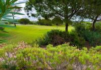 Gebrauchte Objekte - Villas - Las Colinas Golf - Las Colinas