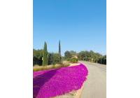 Gebrauchte Objekte - Villas - Las Colinas Golf - Las Colinas