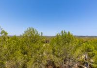 Long time Rental - Appartementen - Las Colinas Golf - Las Colinas