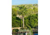 Revente - Villas - Las Colinas Golf - Las Colinas