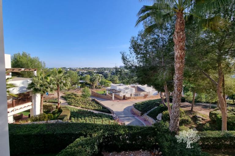 Wohnungen - Short time rental - Las Colinas Golf - 06Rent