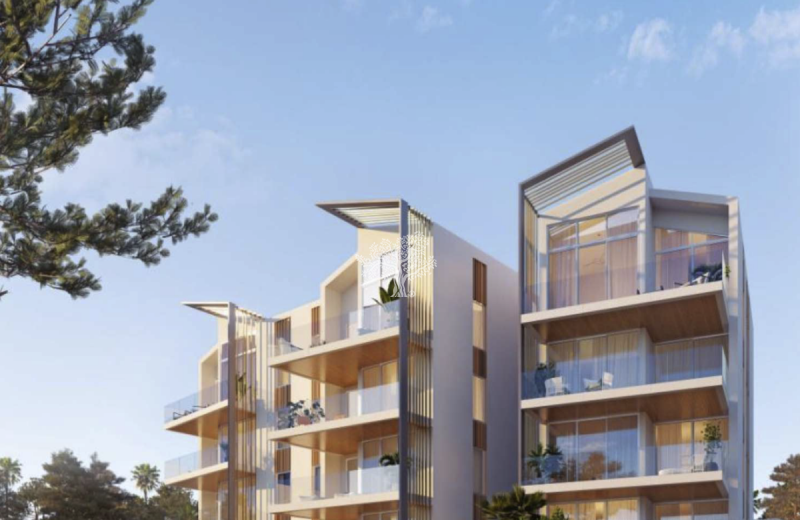 New Project coming soon - Mandarino Apartments